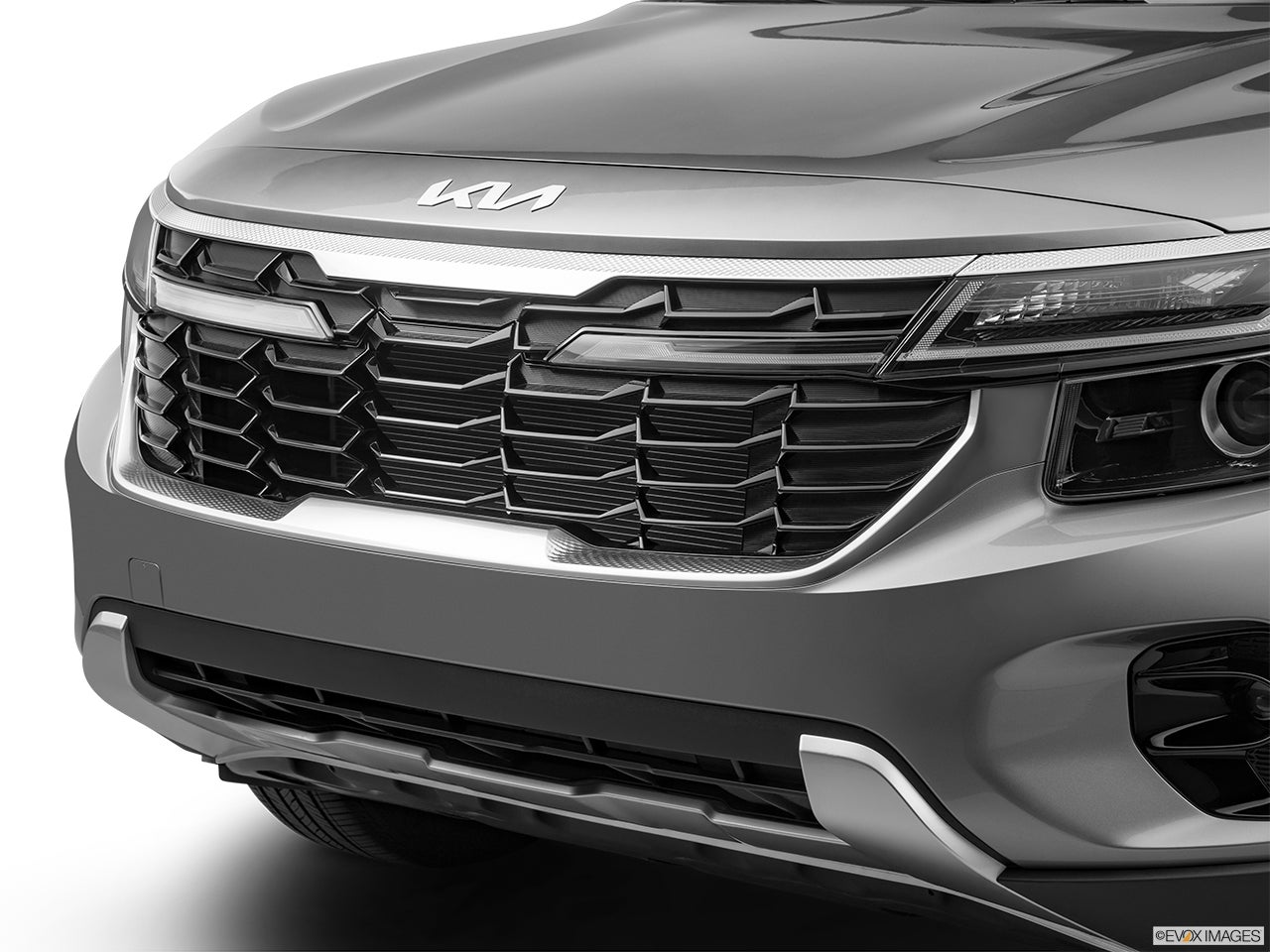 2024 Kia Seltos photo