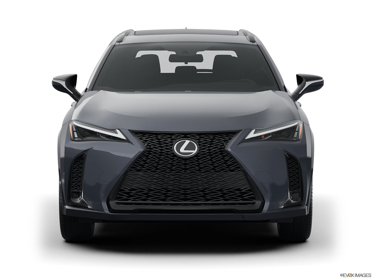 2024 Lexus UX 250h photo