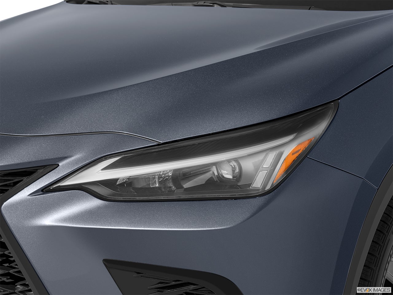 2024 Lexus NX 350 photo