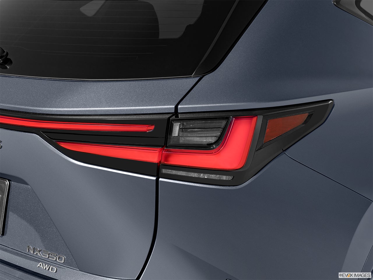 2024 Lexus NX 350 photo