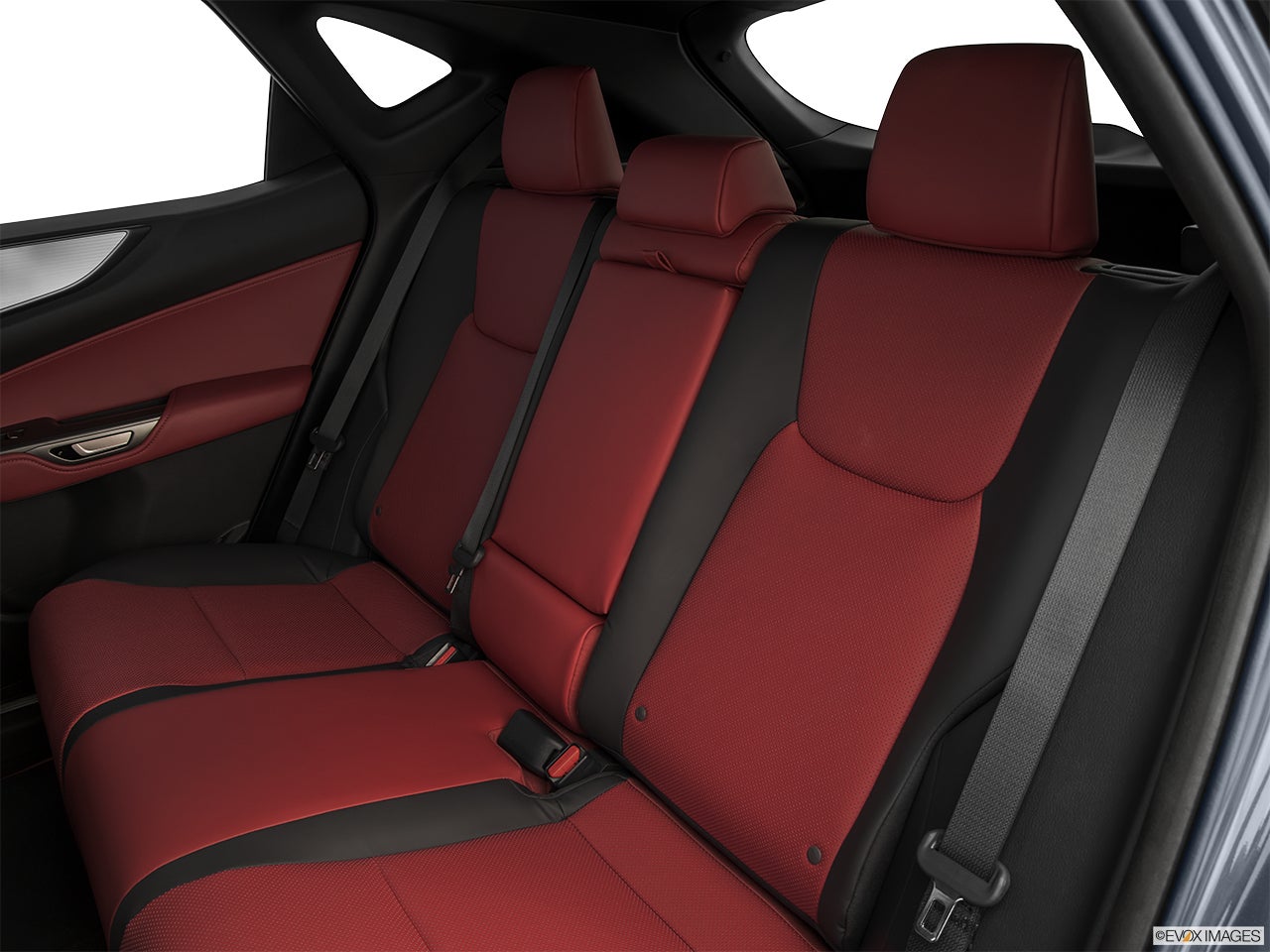 2024 Lexus NX 350 photo