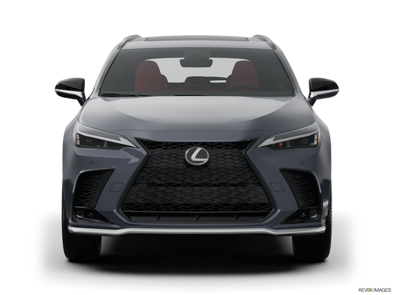2024 Lexus NX 350 photo
