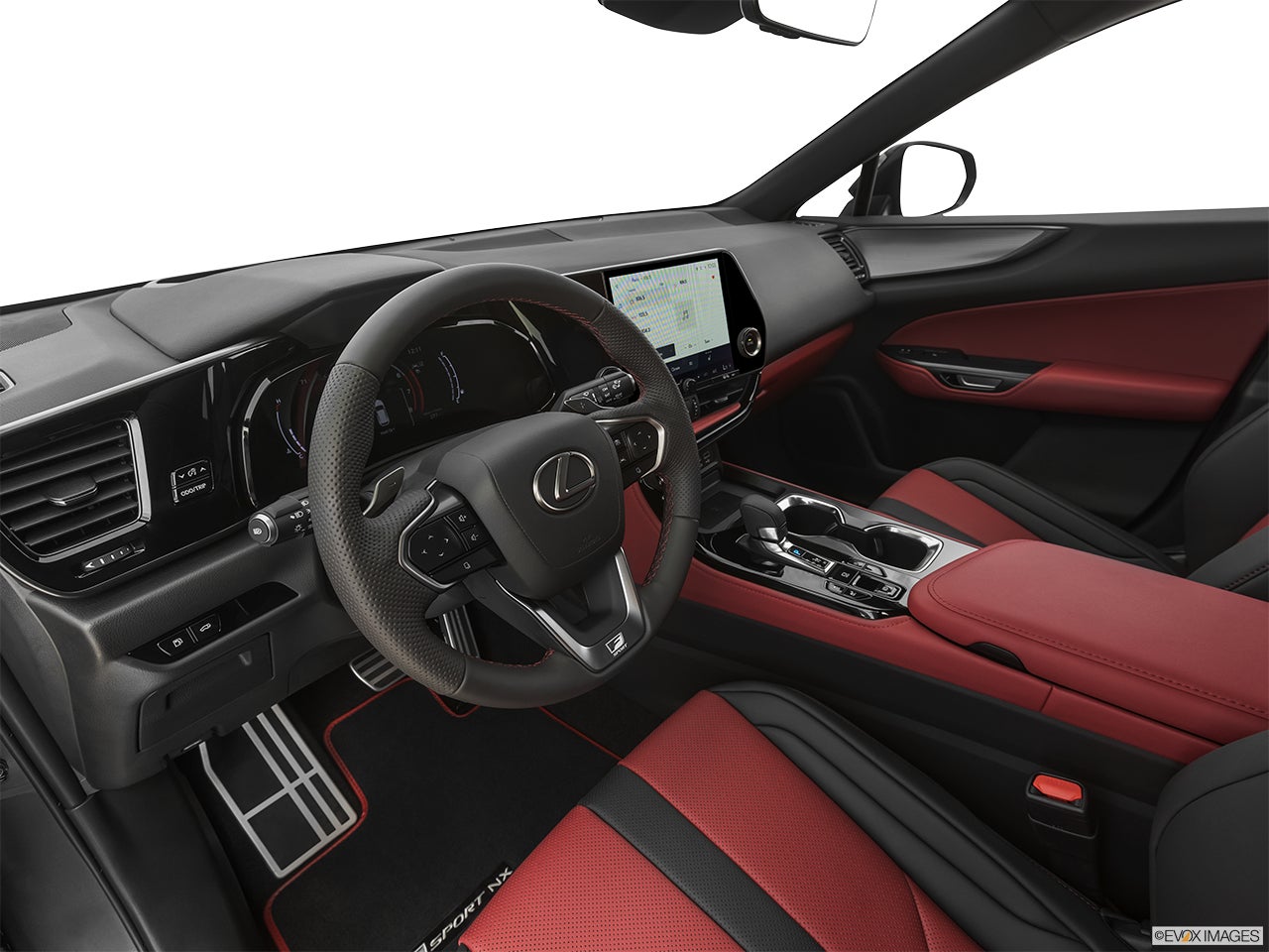 2024 Lexus NX 350 photo