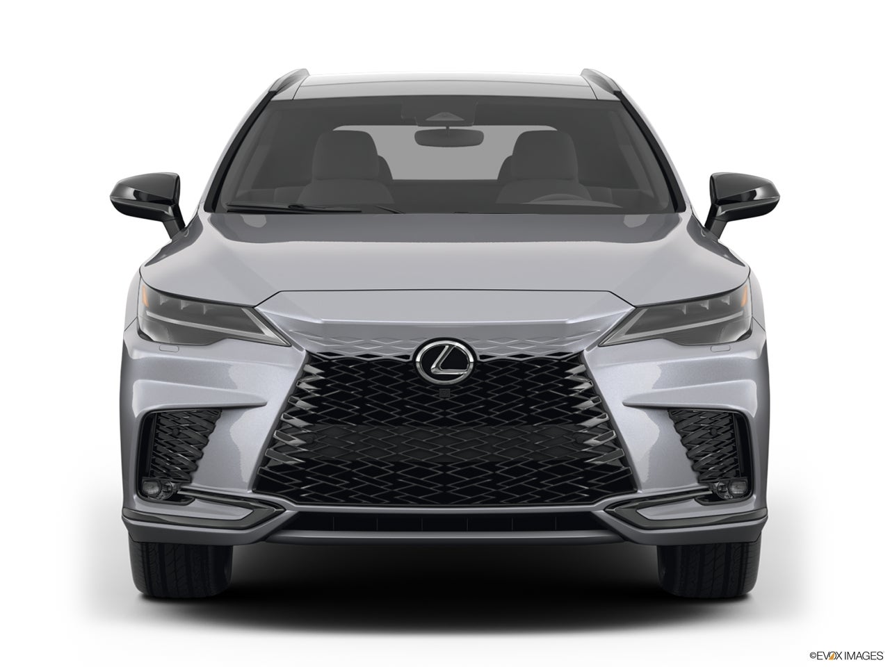 2025 Lexus RX 500h photo