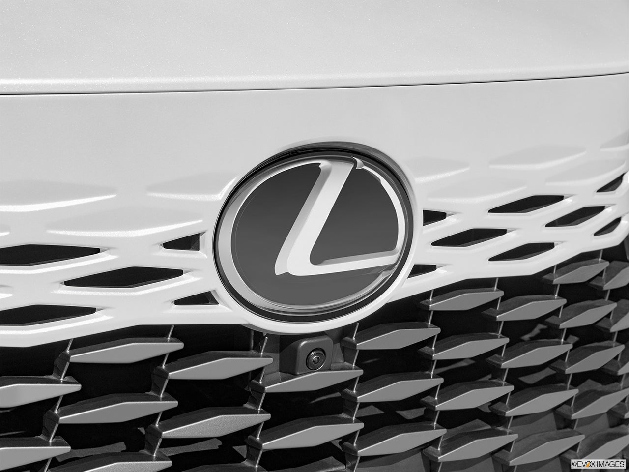 2024 Lexus RX 350 photo
