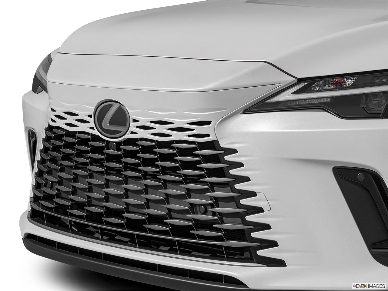 2024 Lexus RX 350 photo