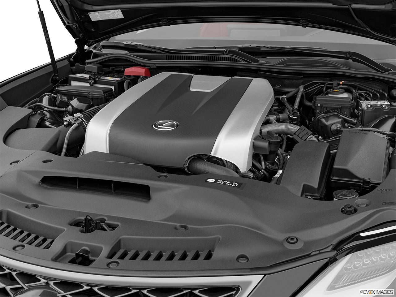 2024 Lexus RC 350 photo