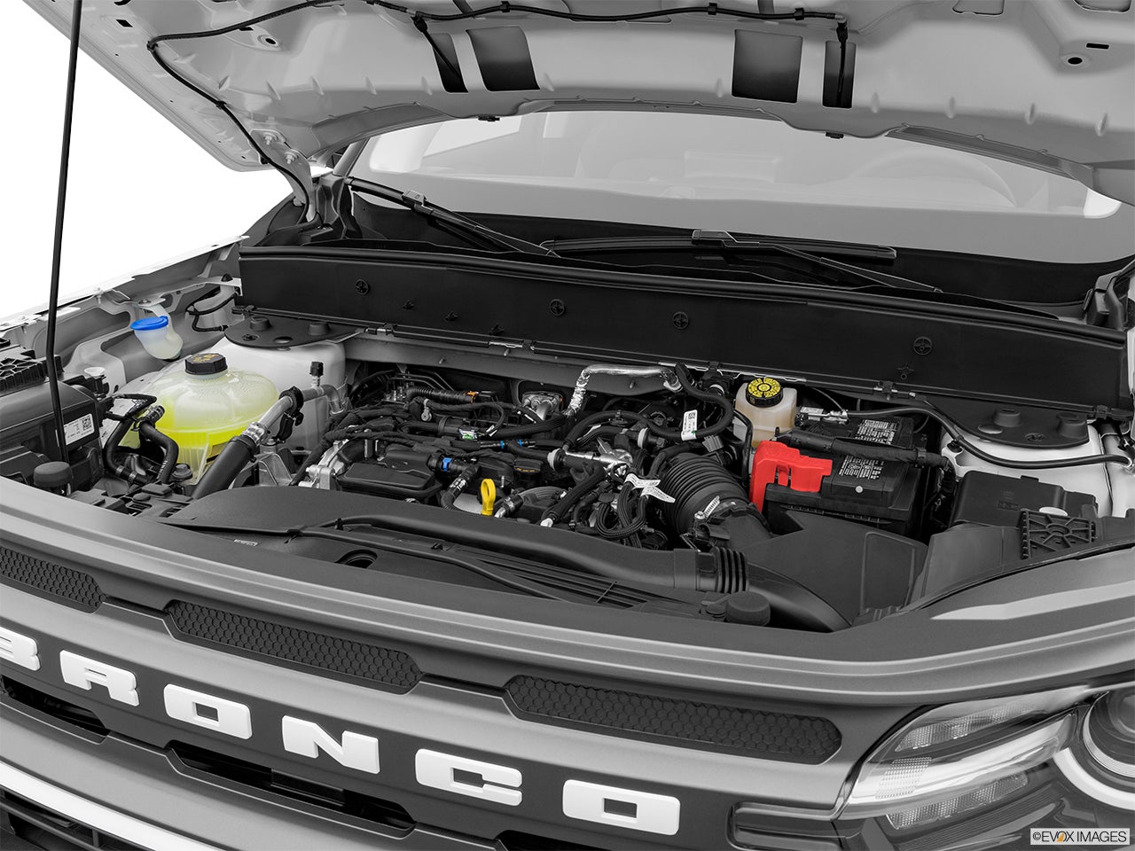 2025 Ford Bronco Sport photo