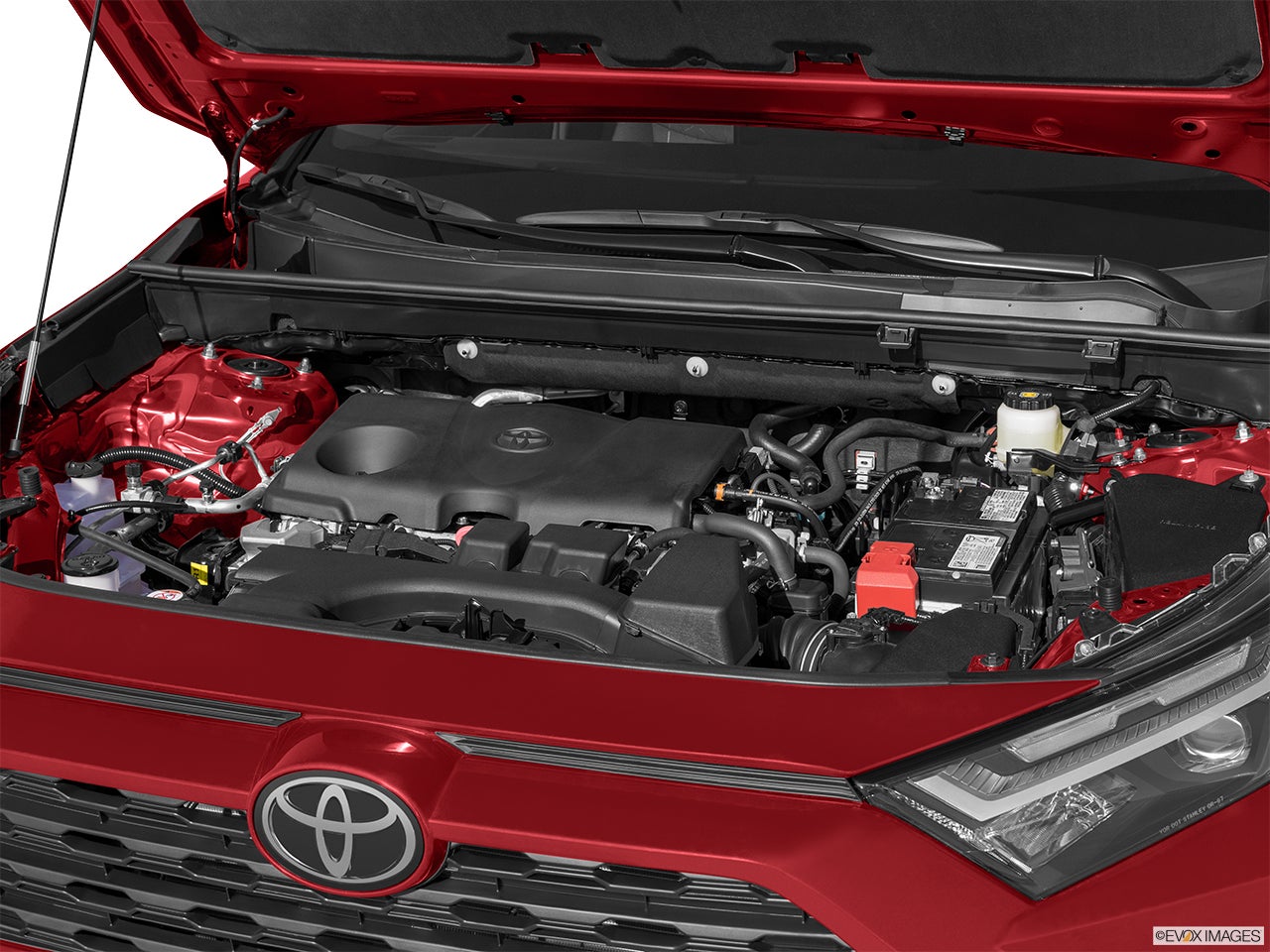 2024 Toyota RAV4 photo