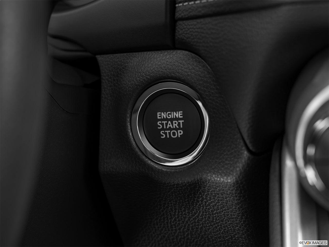 2024 Toyota RAV4 photo