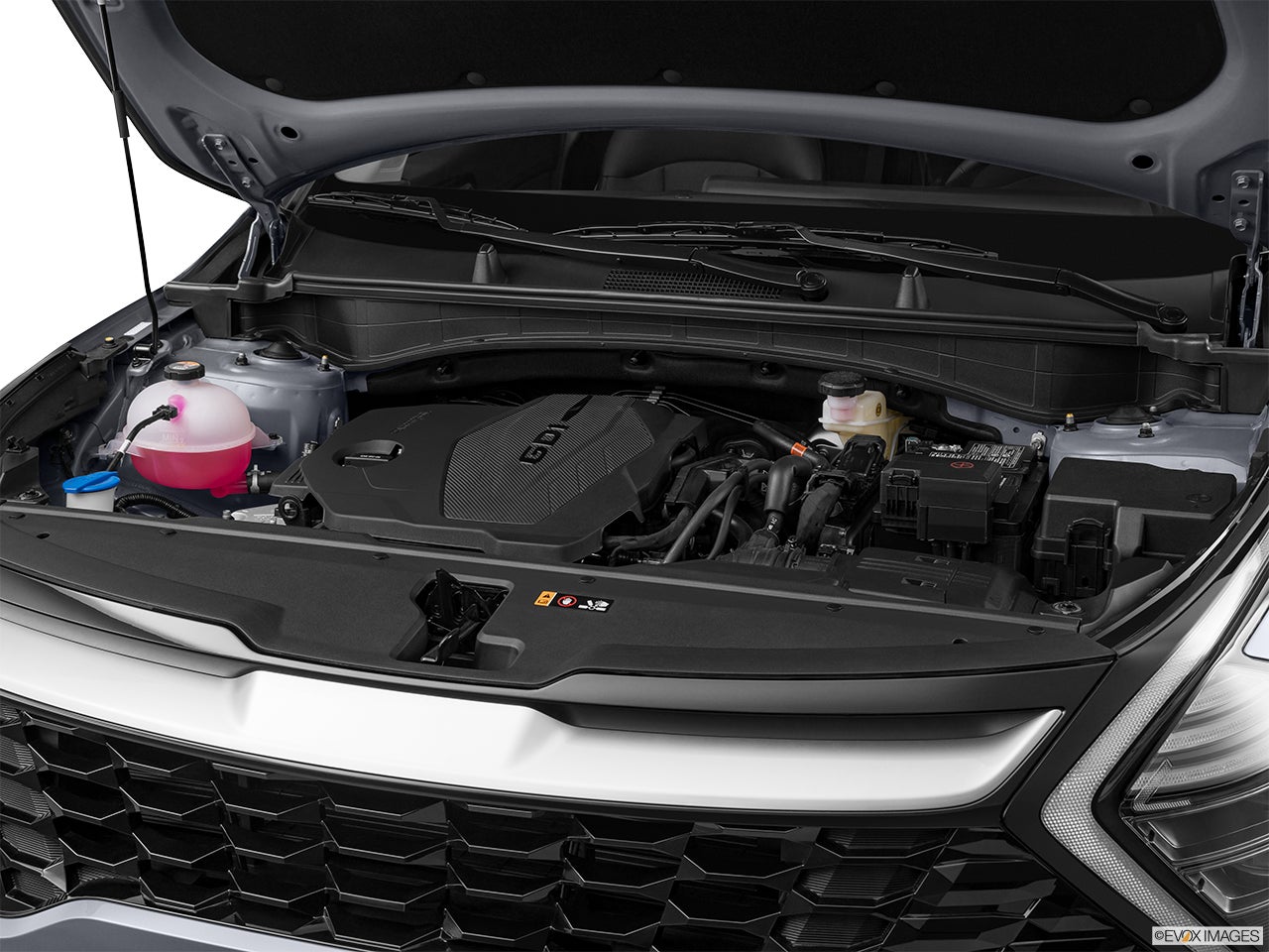 2024 Kia Sportage photo