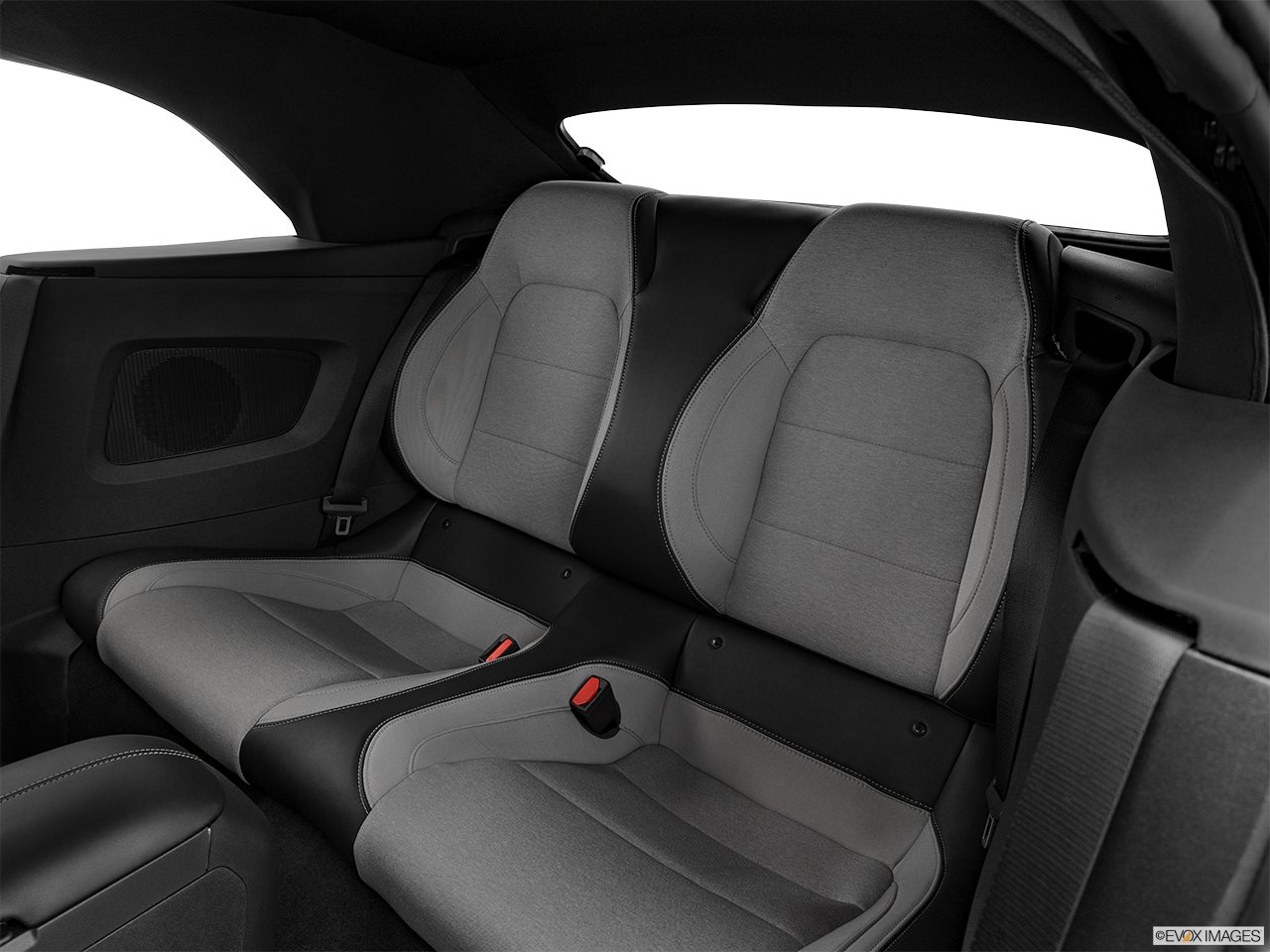 2024 Ford Mustang photo