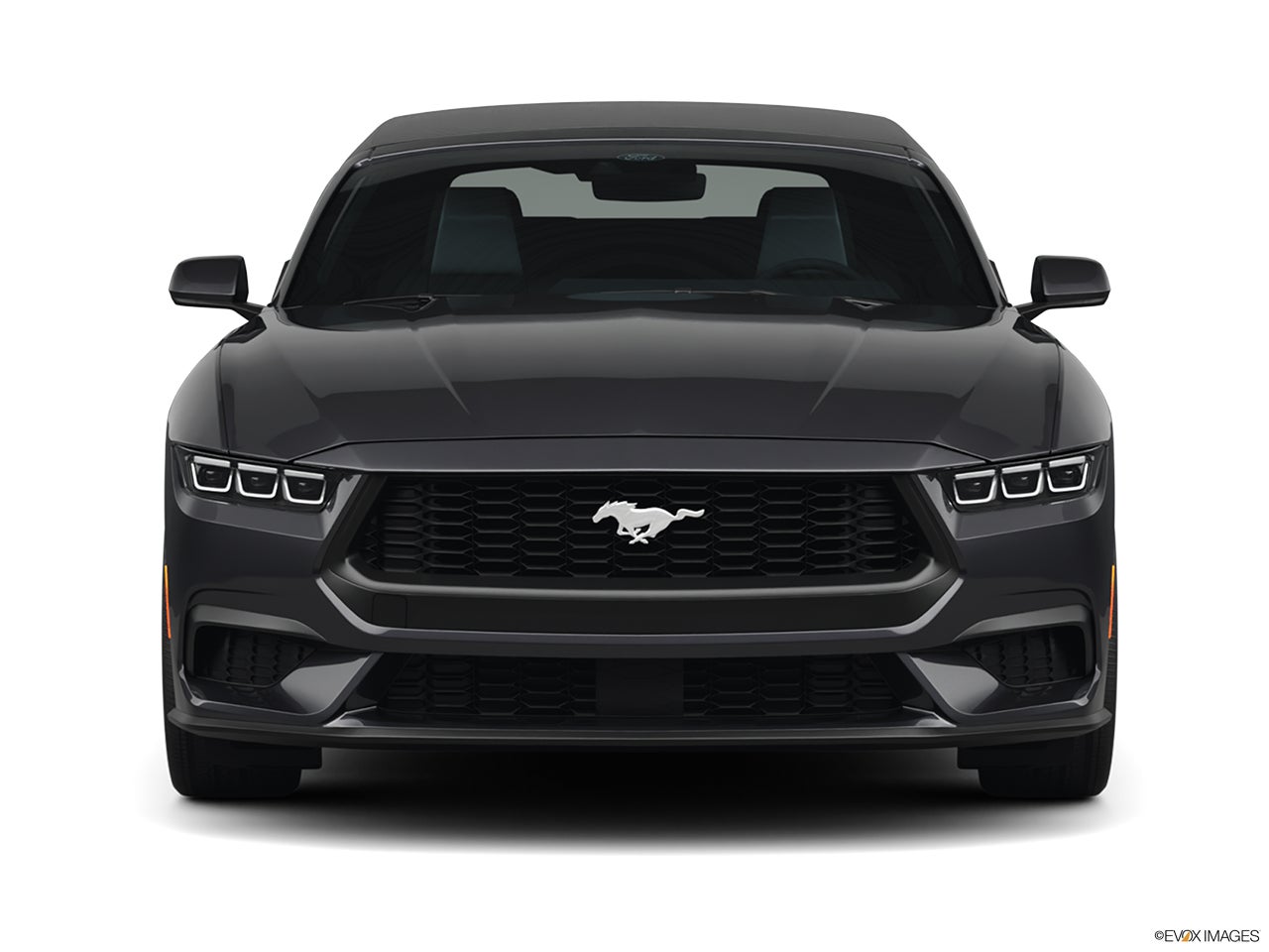 2024 Ford Mustang photo