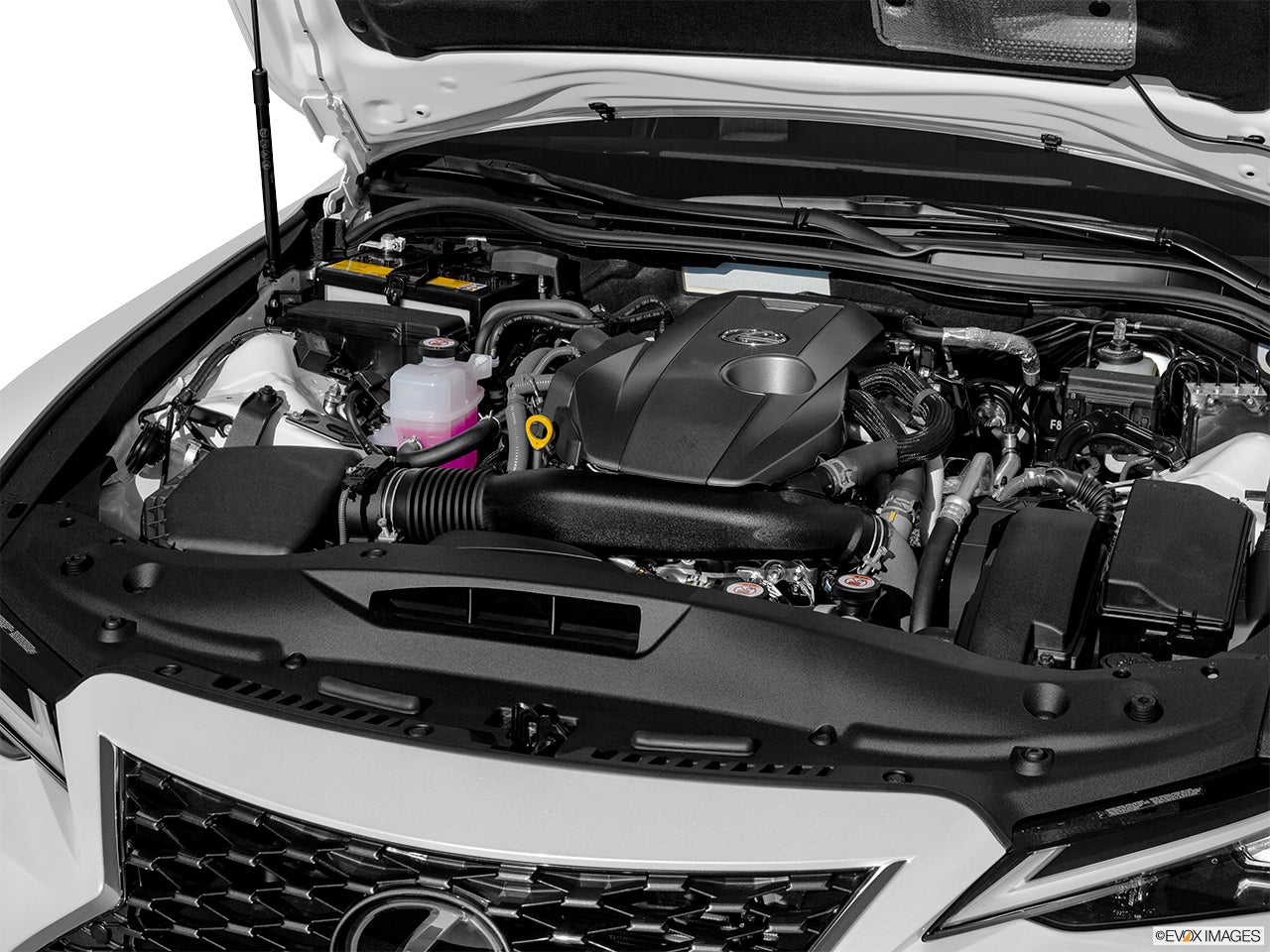 2024 Lexus IS 300 photo