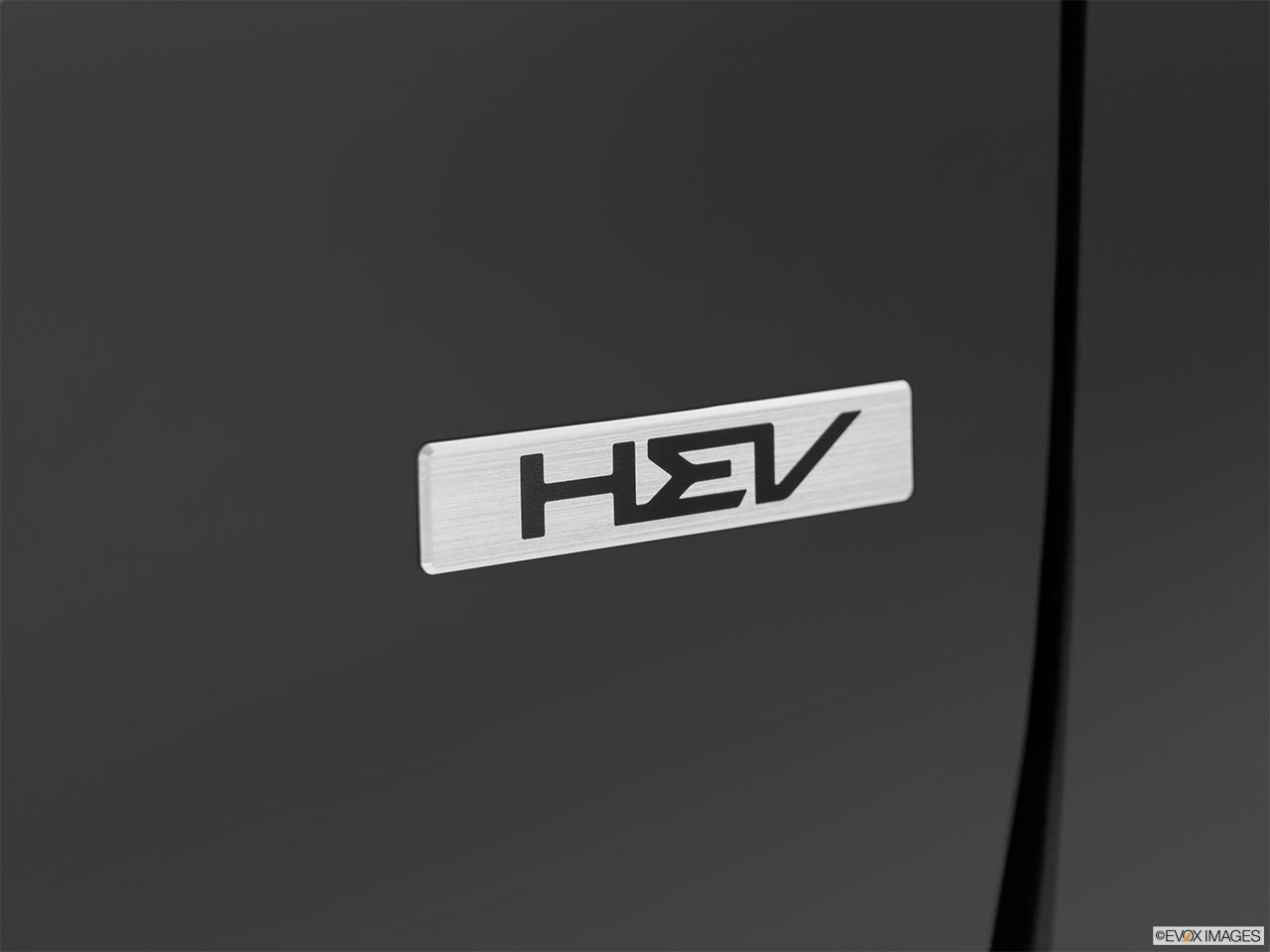 2024 Kia Niro photo