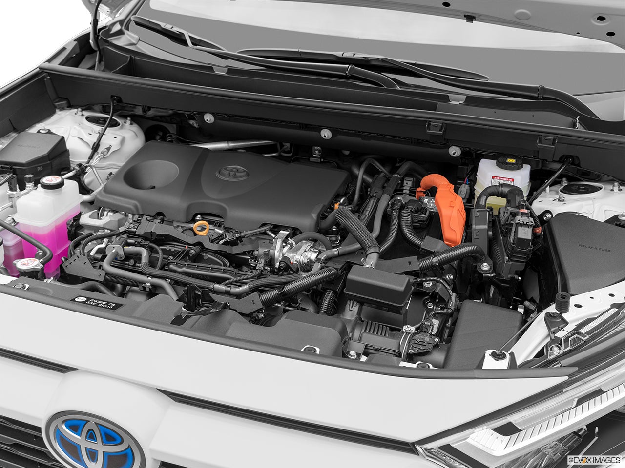 2024 Toyota RAV4 Hybrid photo