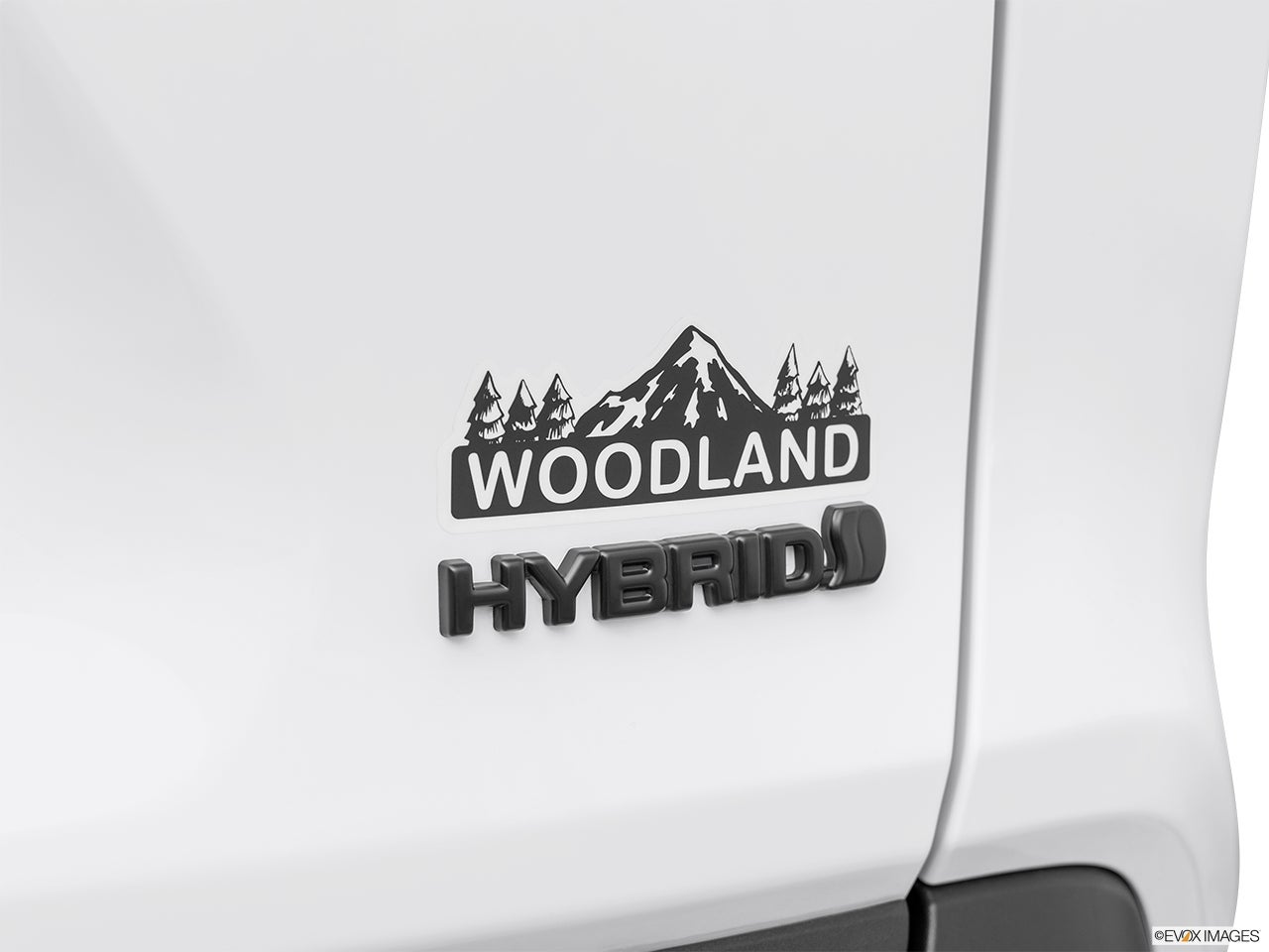 2024 Toyota RAV4 Hybrid photo