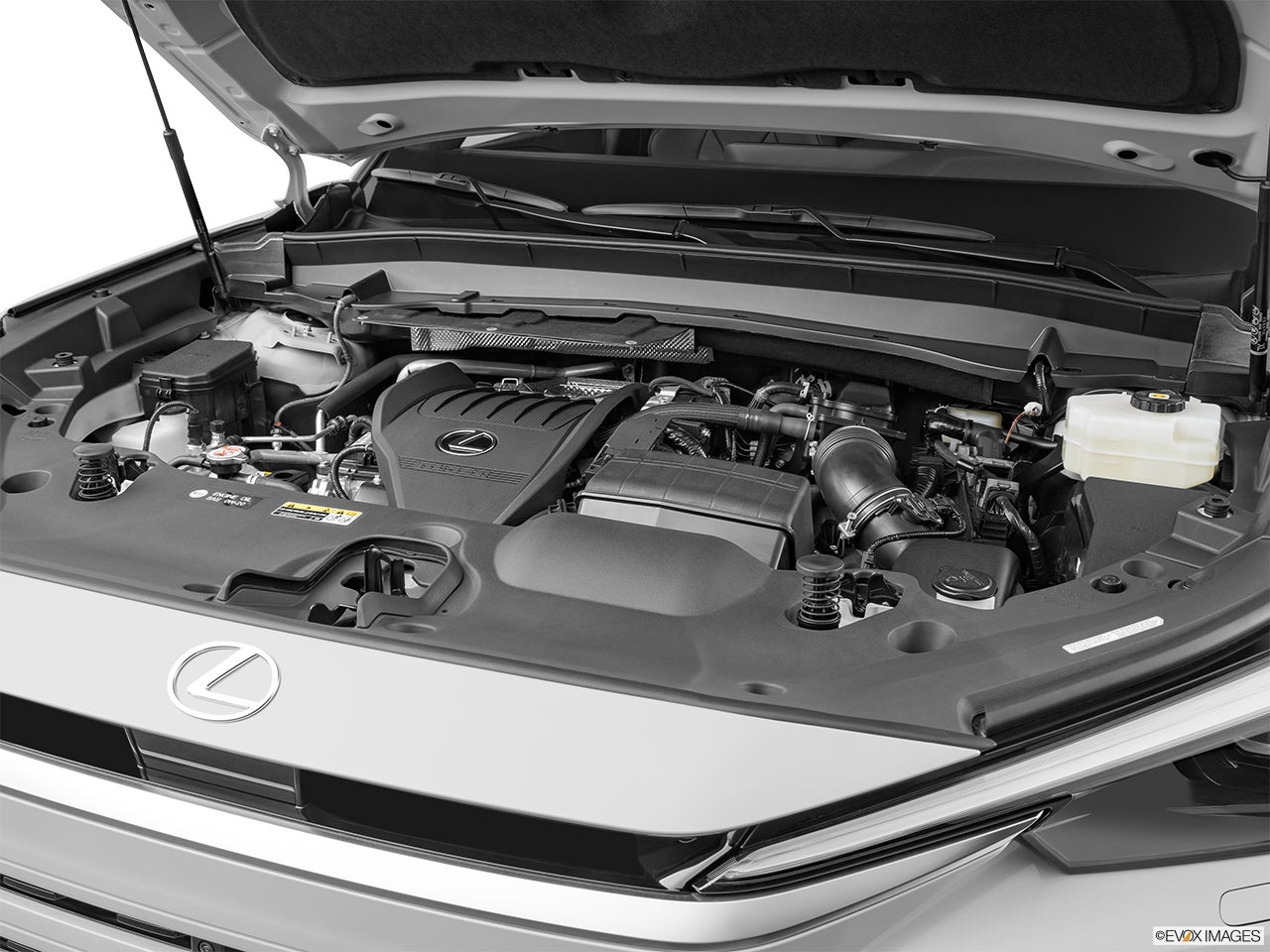 2024 Lexus TX 500h photo