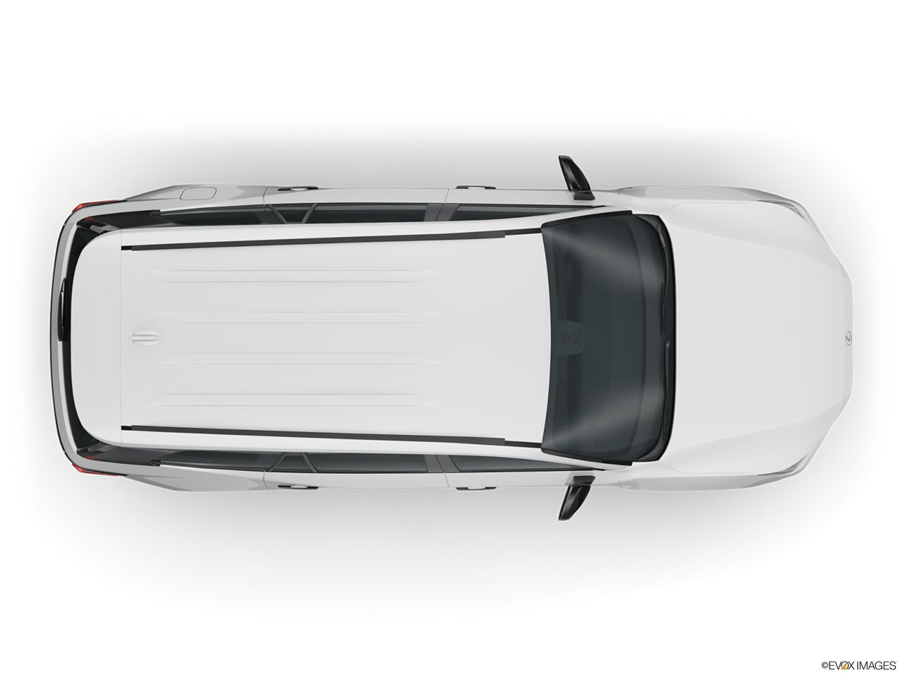 2024 Lexus TX 500h photo