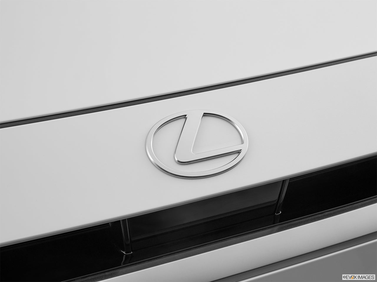 2024 Lexus TX 500h photo