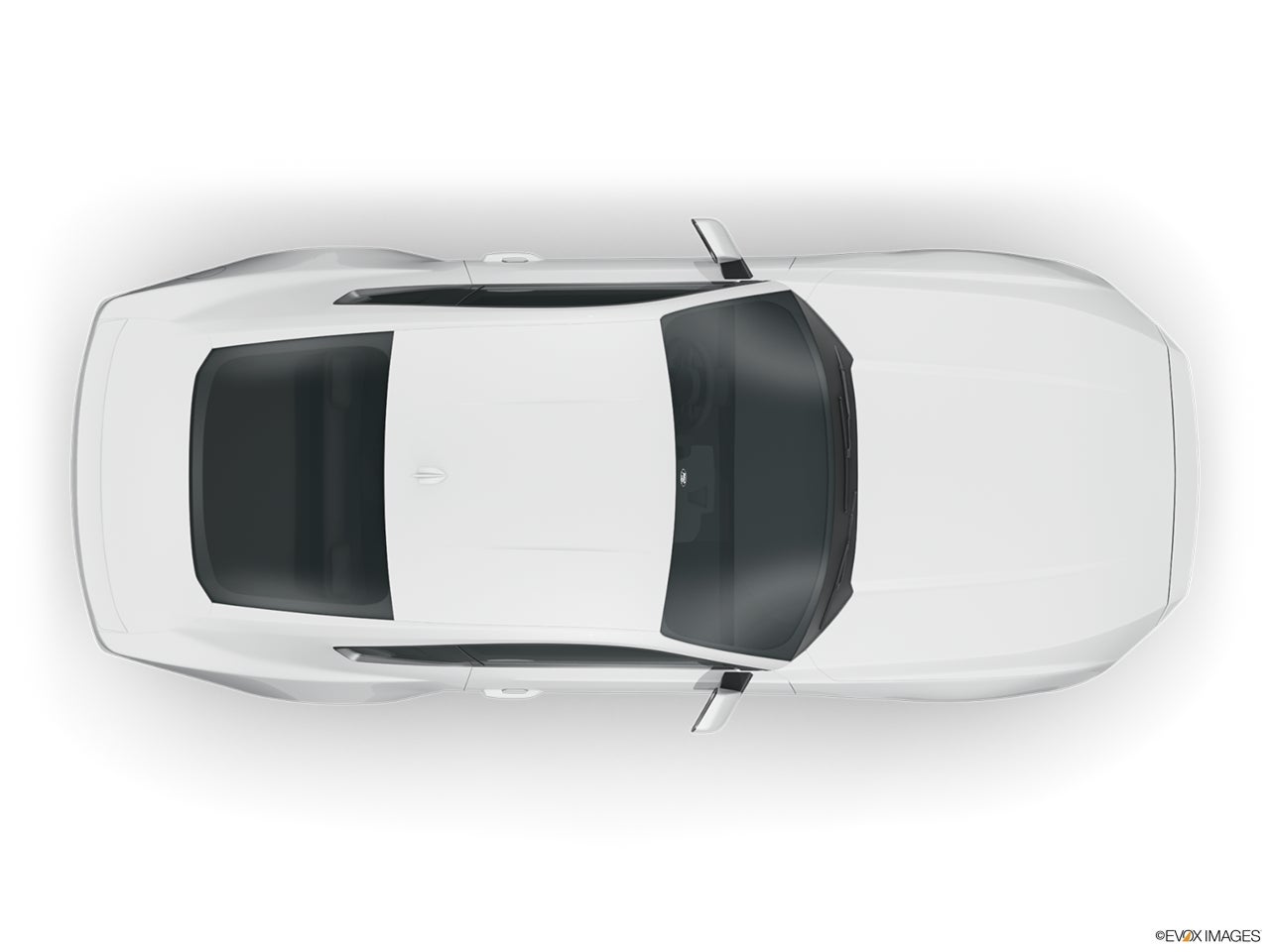2024 Ford Mustang photo
