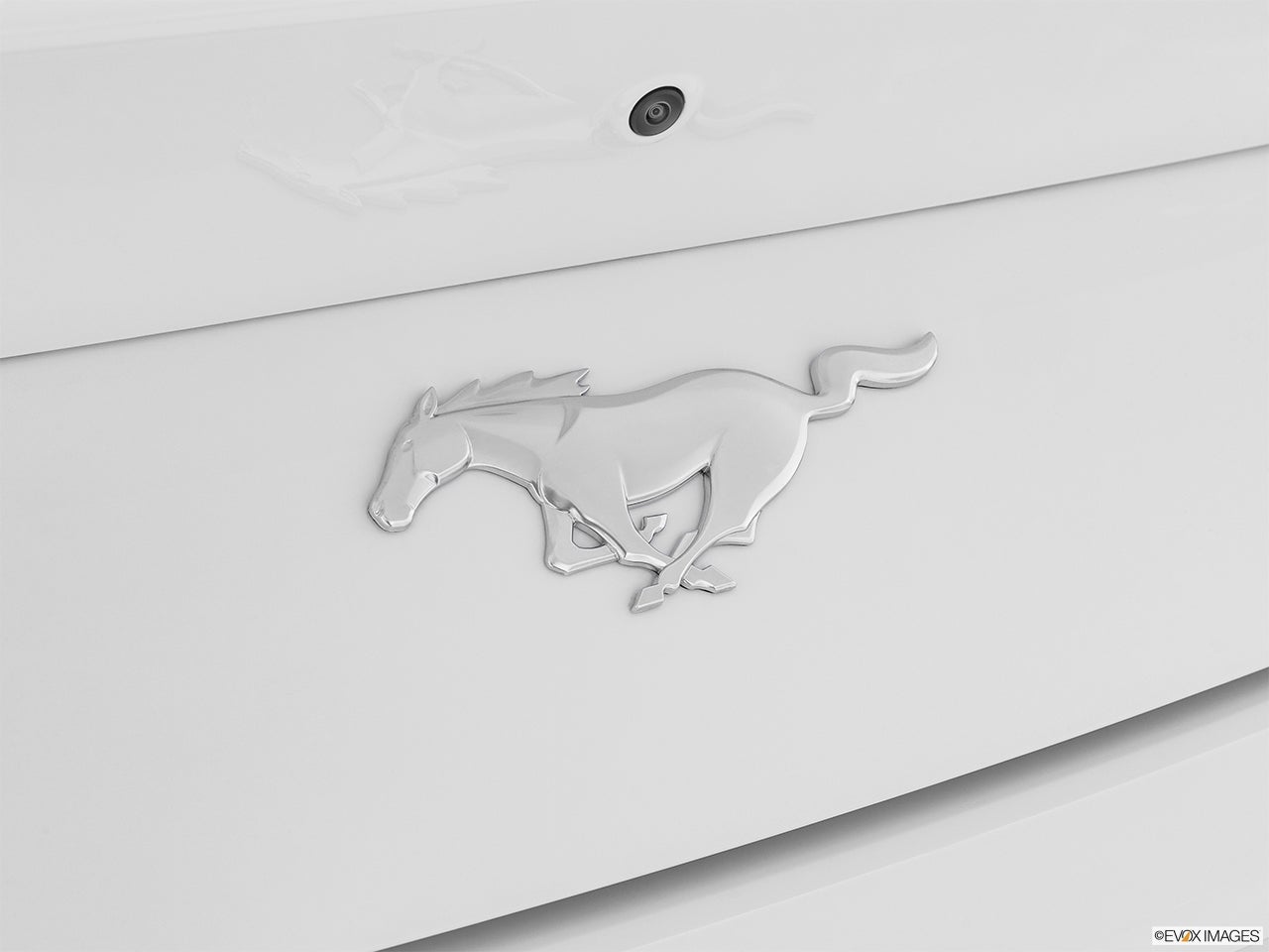 2024 Ford Mustang photo