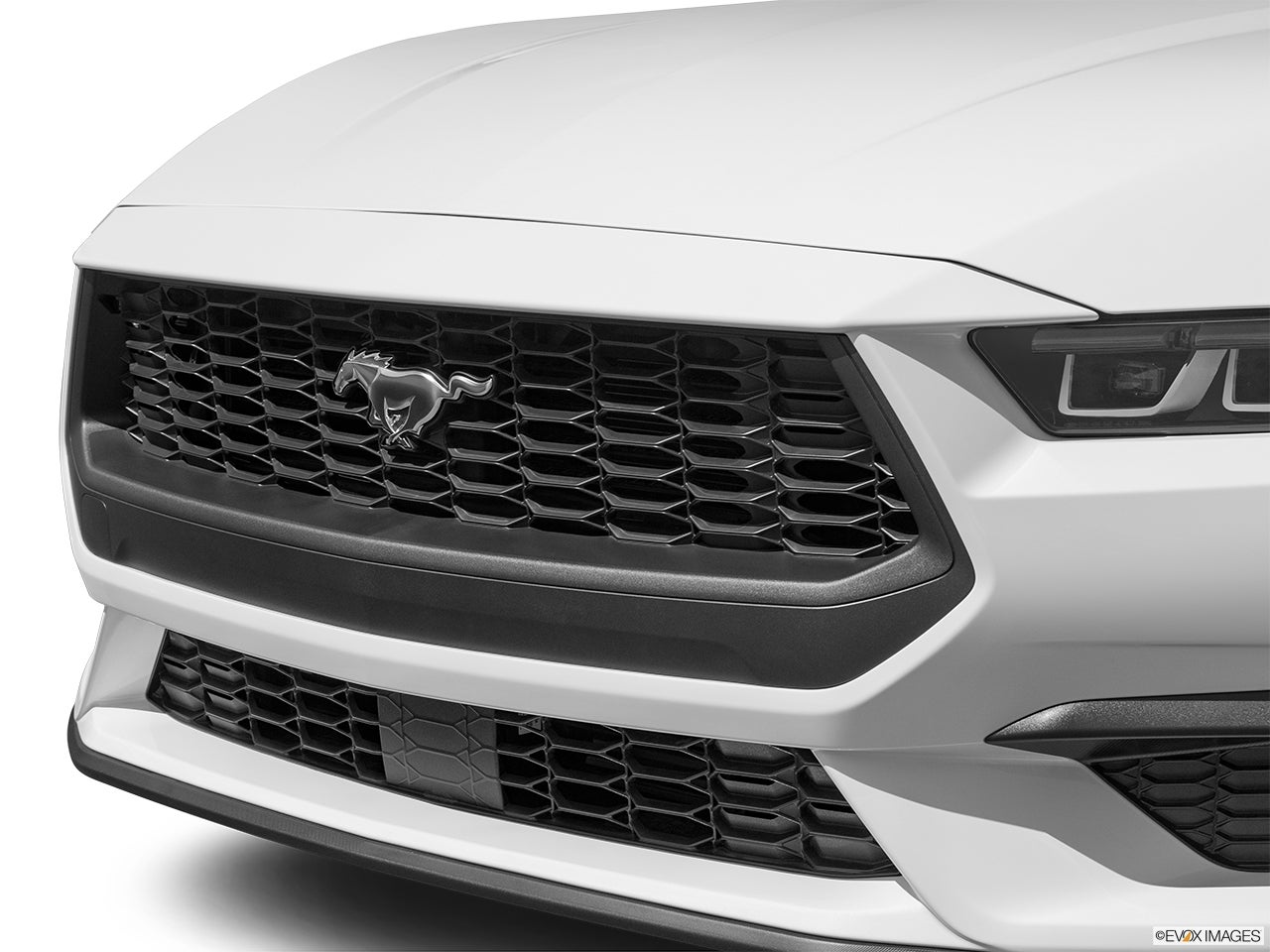 2024 Ford Mustang photo
