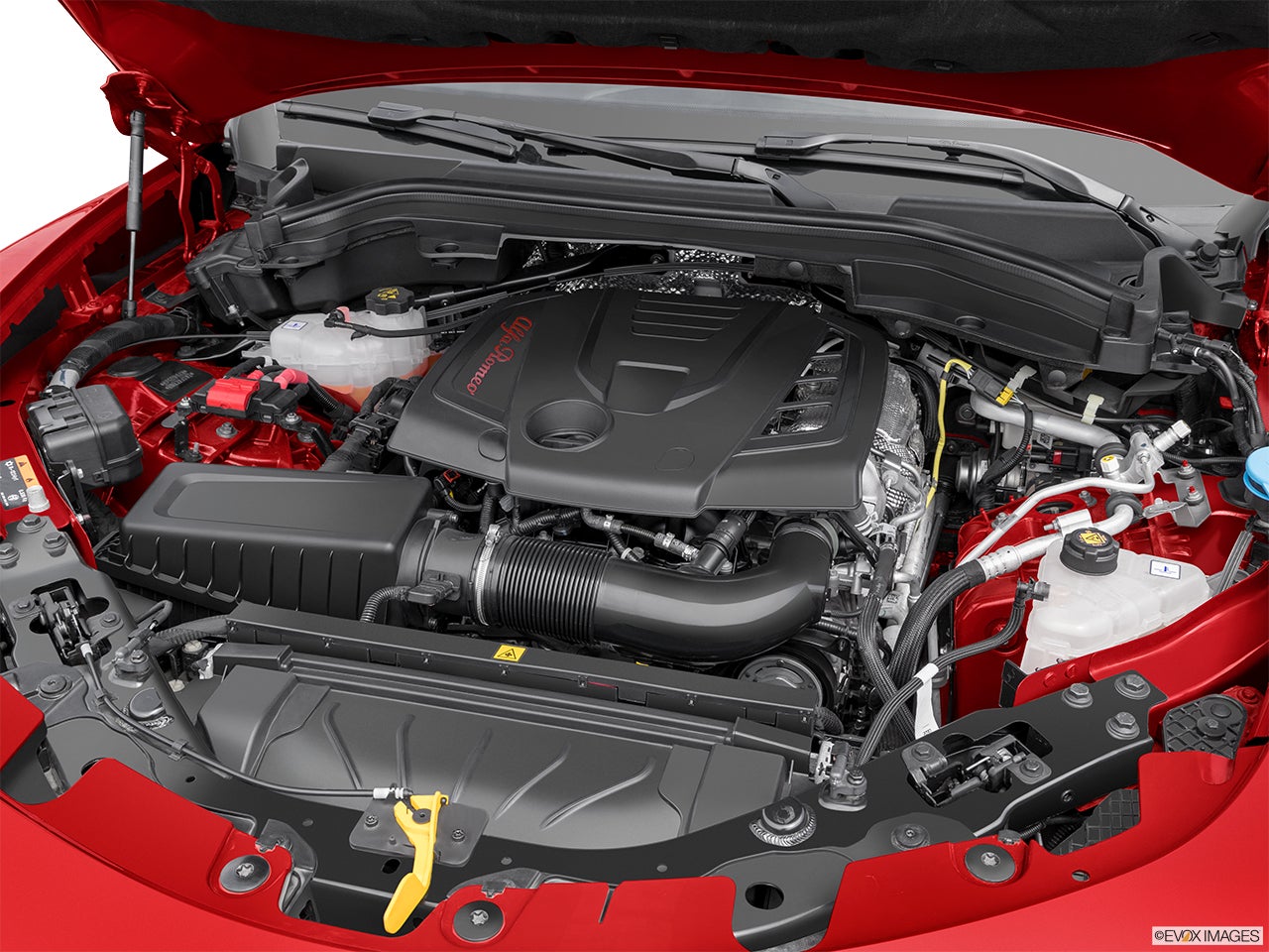 2024 Alfa Romeo Stelvio photo