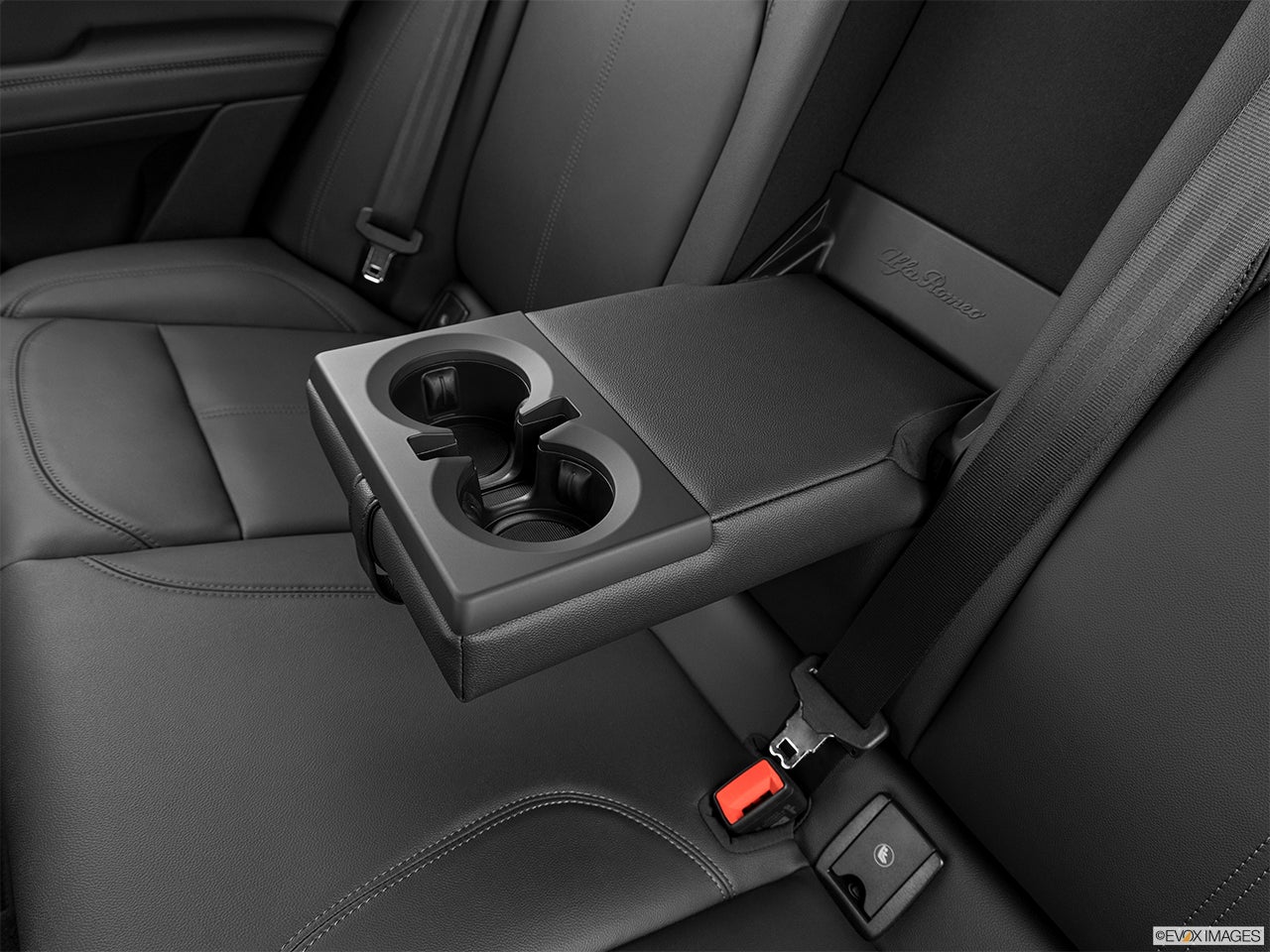2024 Alfa Romeo Stelvio photo