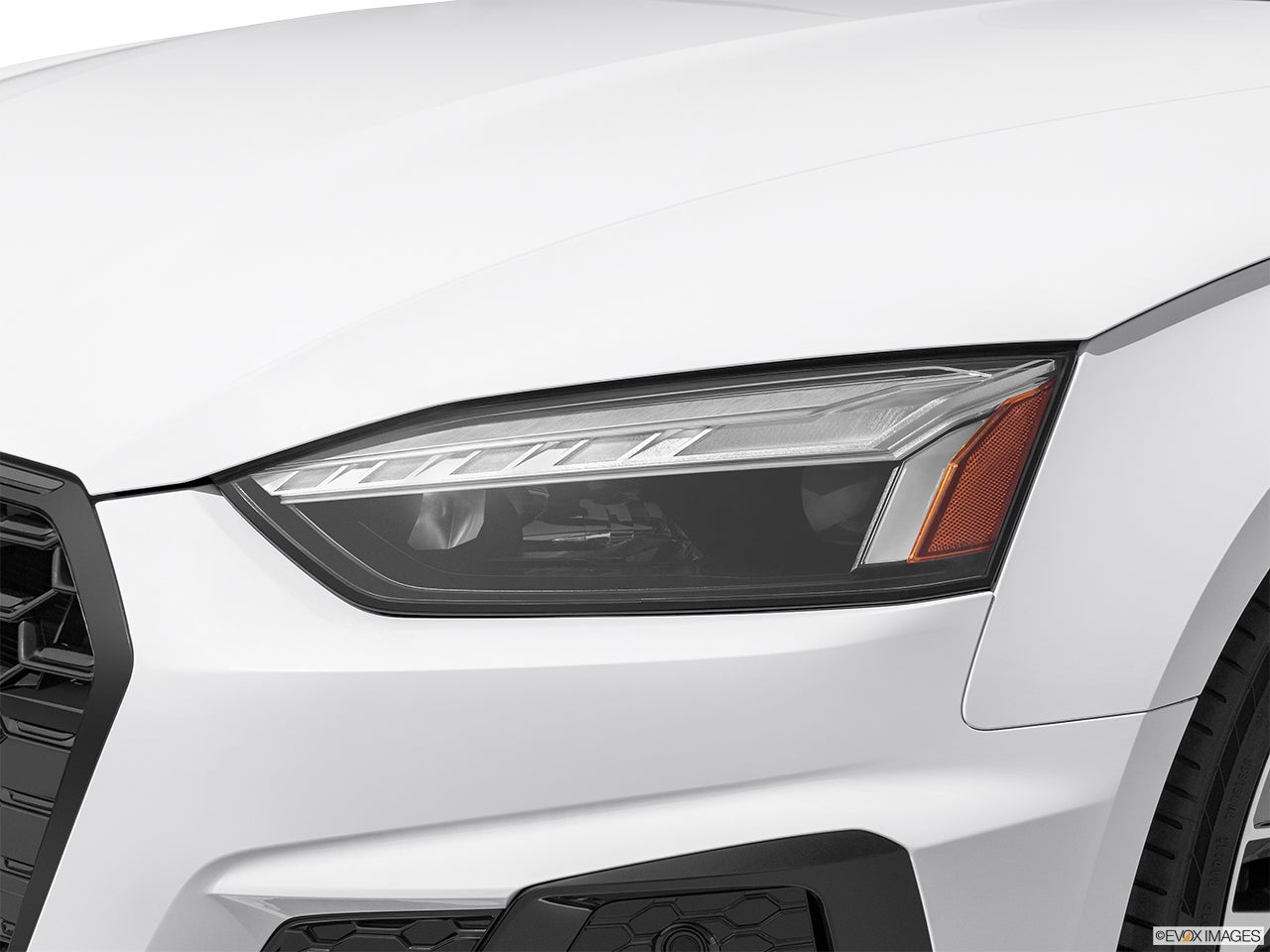 2025 Audi S5 Sportback photo