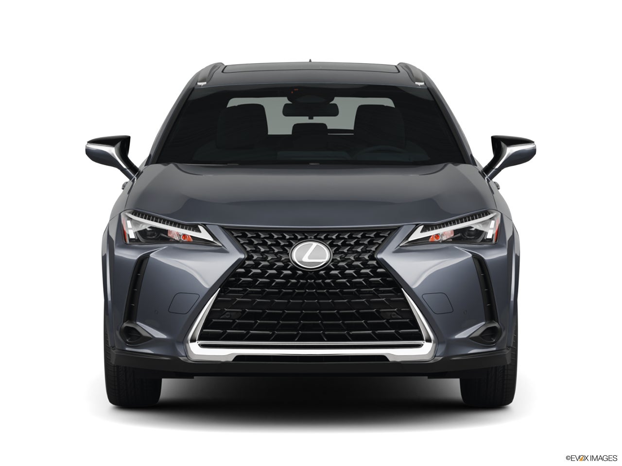 2026 Lexus UX 300h photo