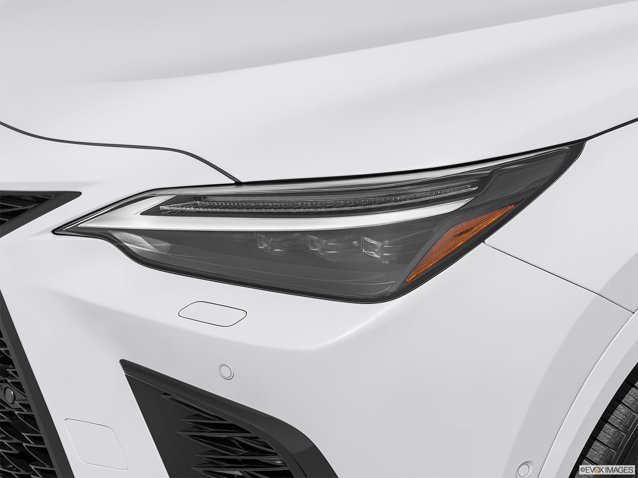 2025 Lexus NX 450h+ photo