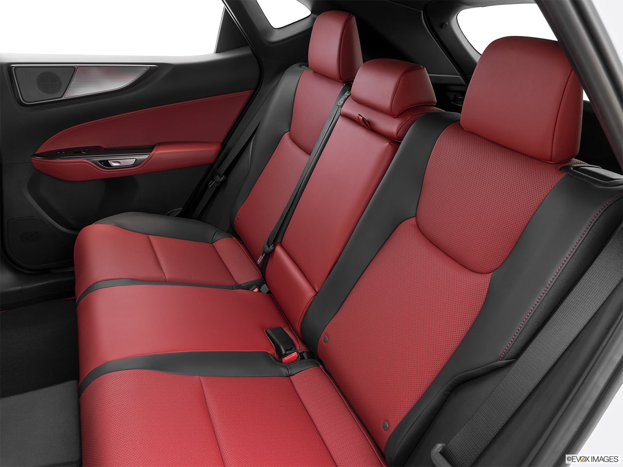 2025 Lexus NX 450h+ photo