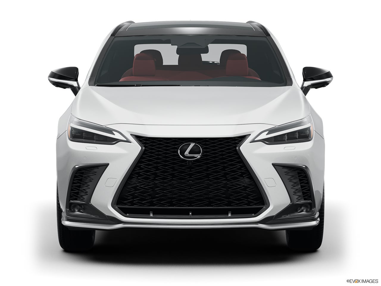 2025 Lexus NX 450h+ photo