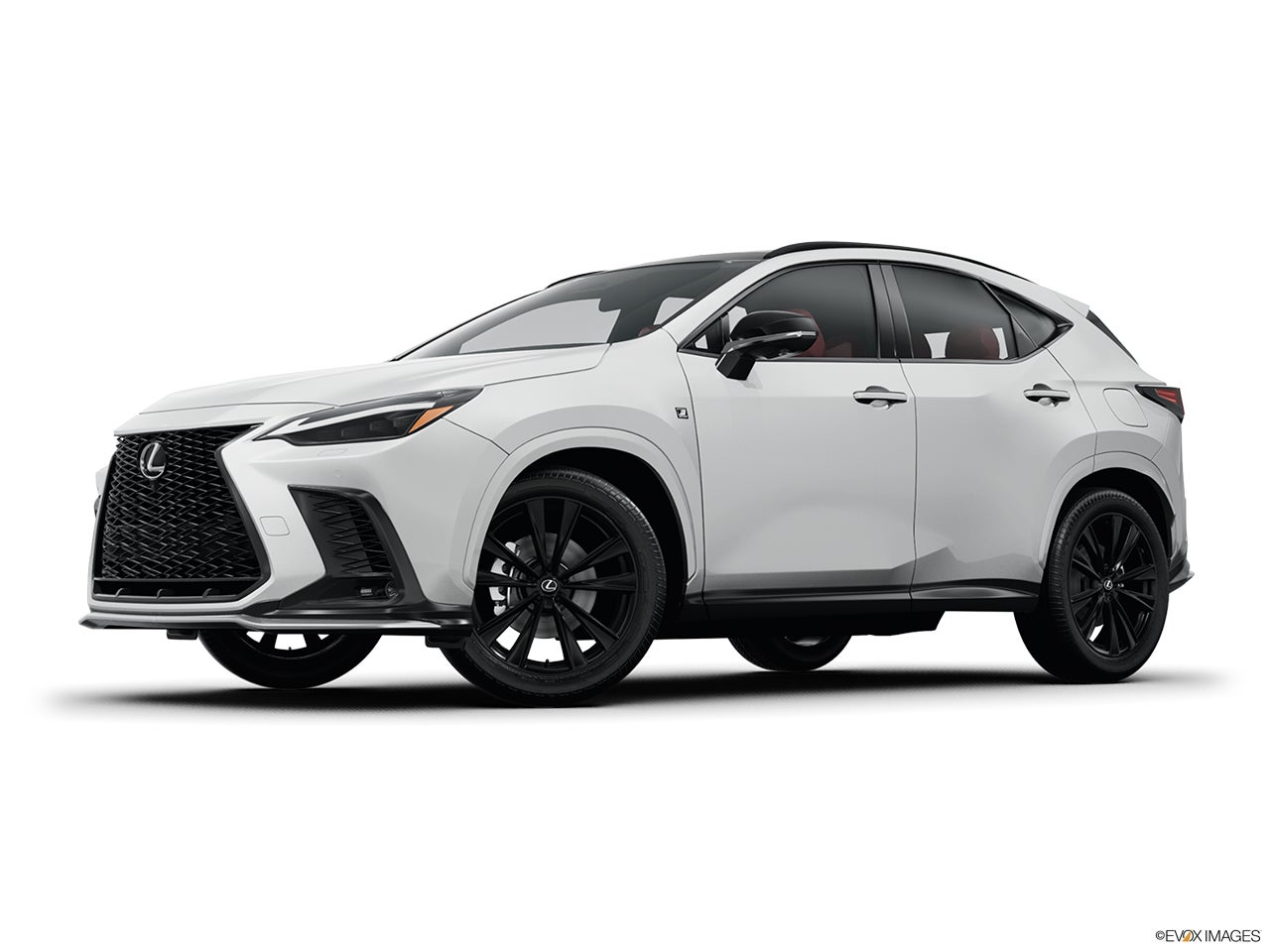 2025 Lexus NX 450h+ photo