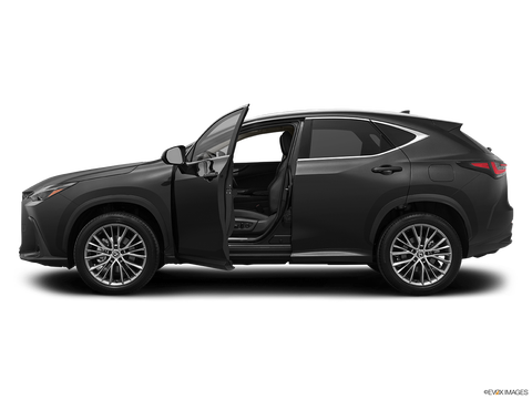 2025 Lexus NX 350