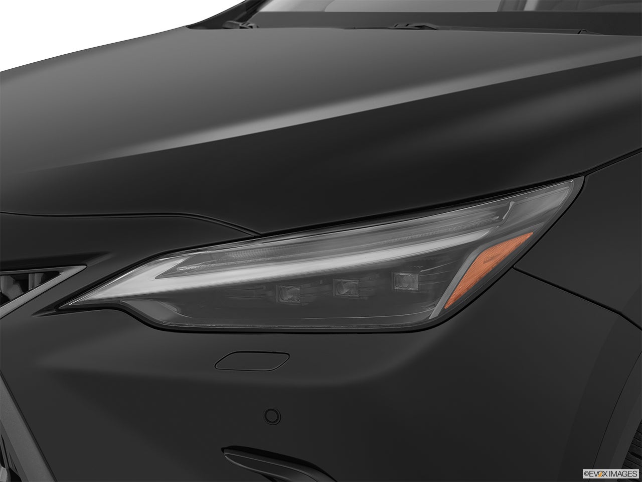 2025 Lexus NX 350 photo