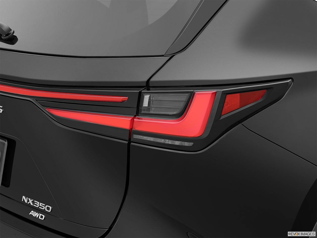 2025 Lexus NX 350 photo