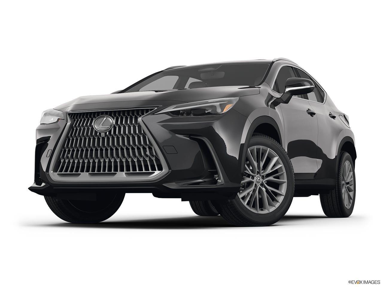 2025 Lexus NX 350 photo