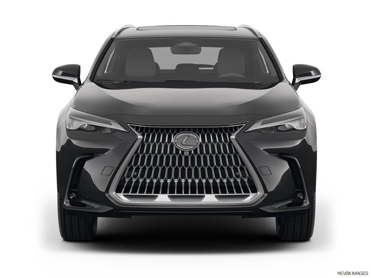 2025 Lexus NX 350 photo