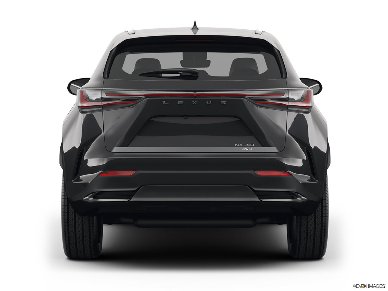 2025 Lexus NX 350 photo