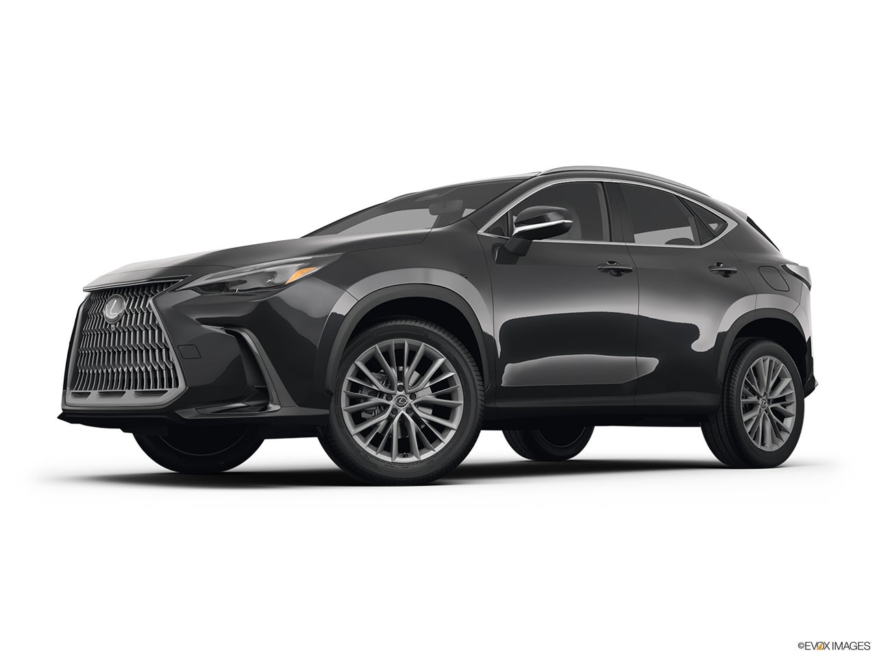 2025 Lexus NX 350 photo