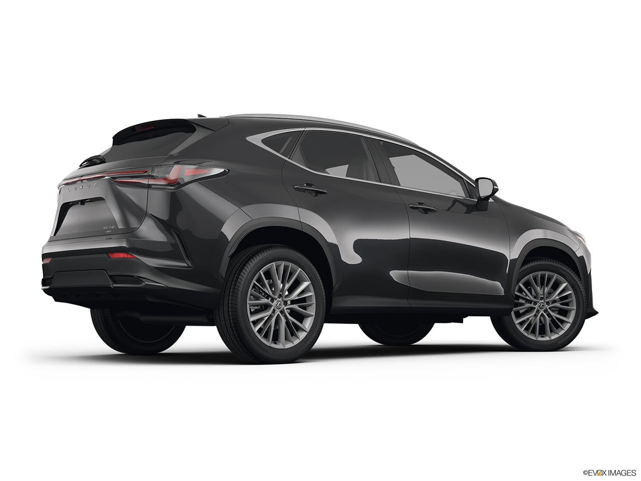 2025 Lexus NX 350 photo