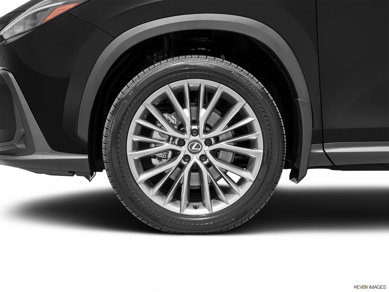 2025 Lexus NX 350 photo