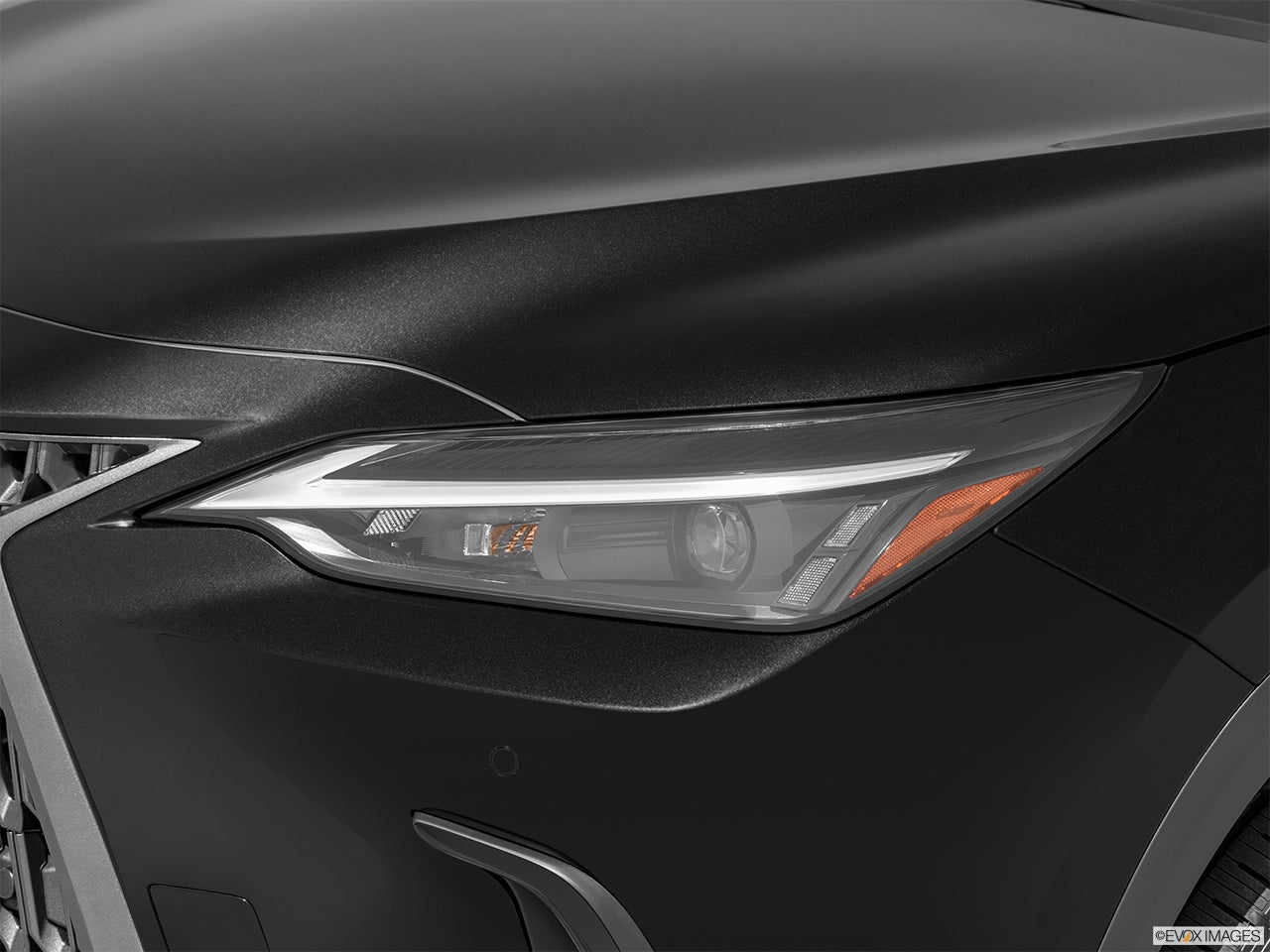 2025 Lexus NX 350 photo
