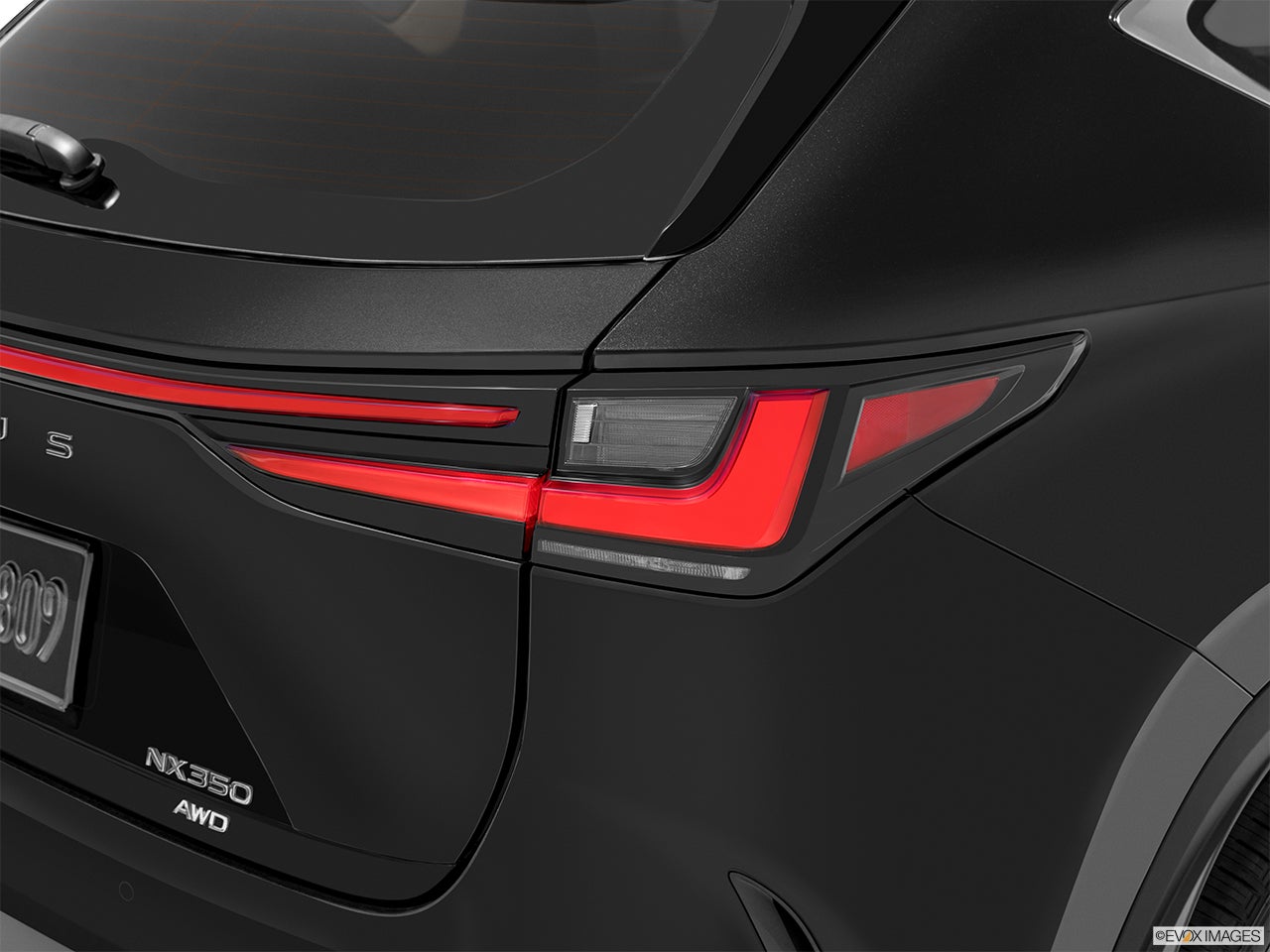 2025 Lexus NX 350 photo