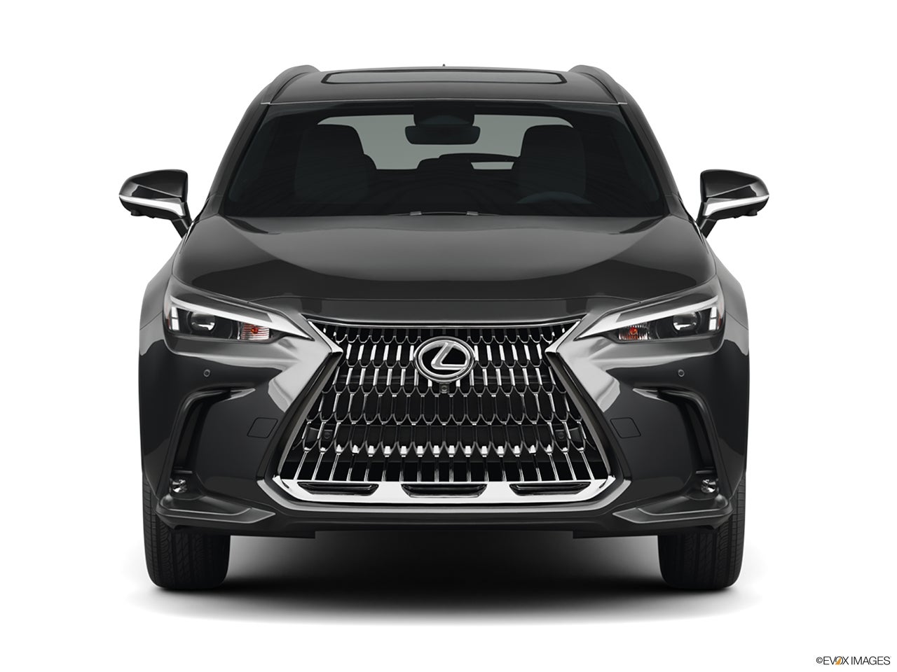 2025 Lexus NX 350 photo