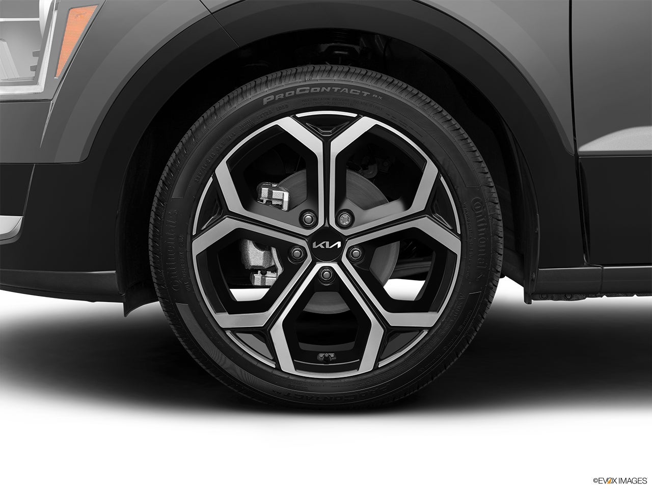 2025 Kia Niro photo