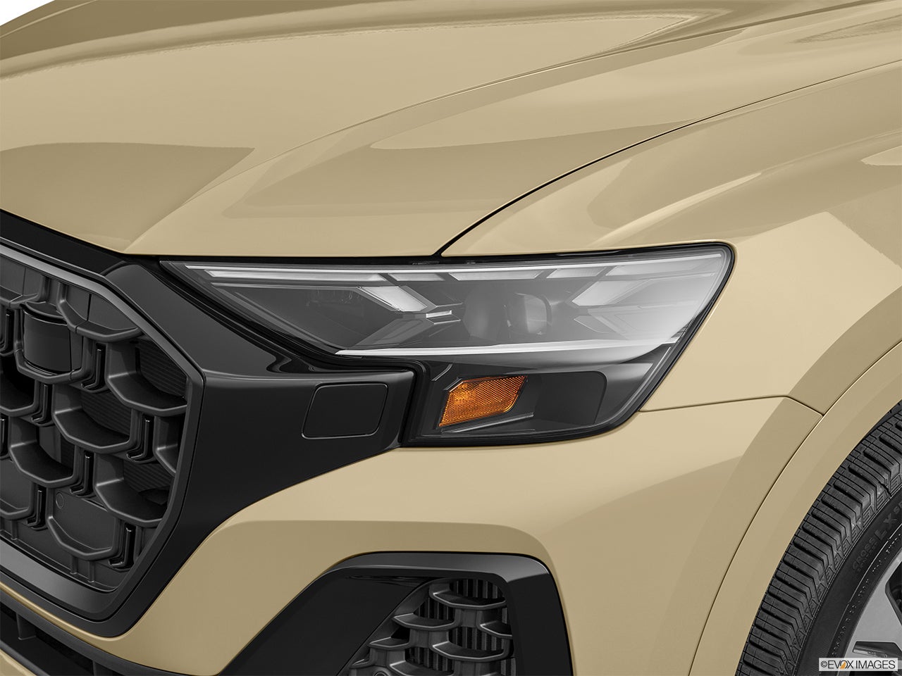 2025 Audi Q8 photo