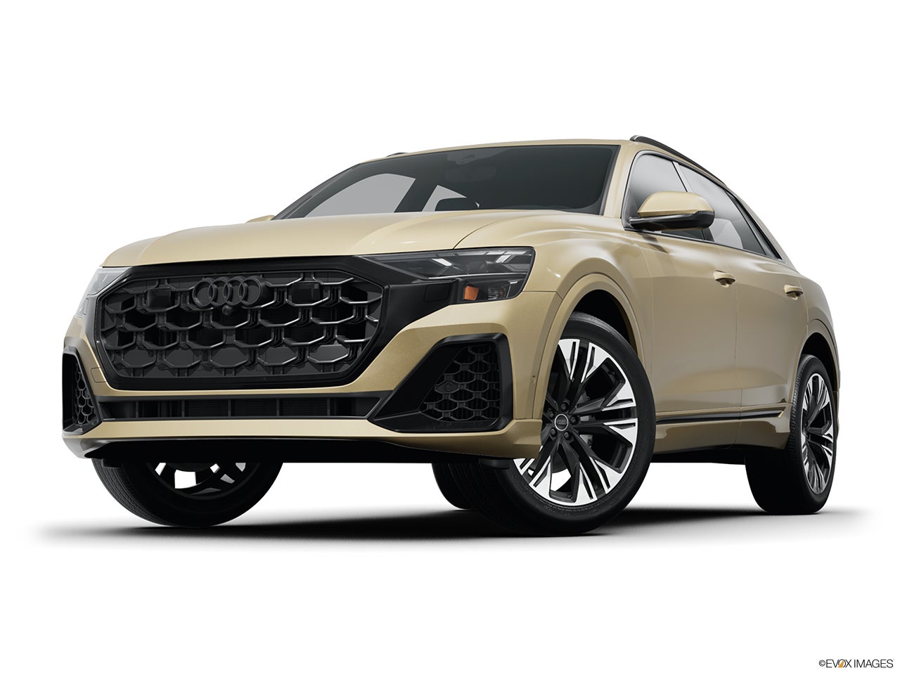 2025 Audi Q8 photo